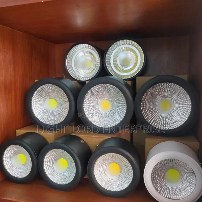 Longevity Spot Light Surface