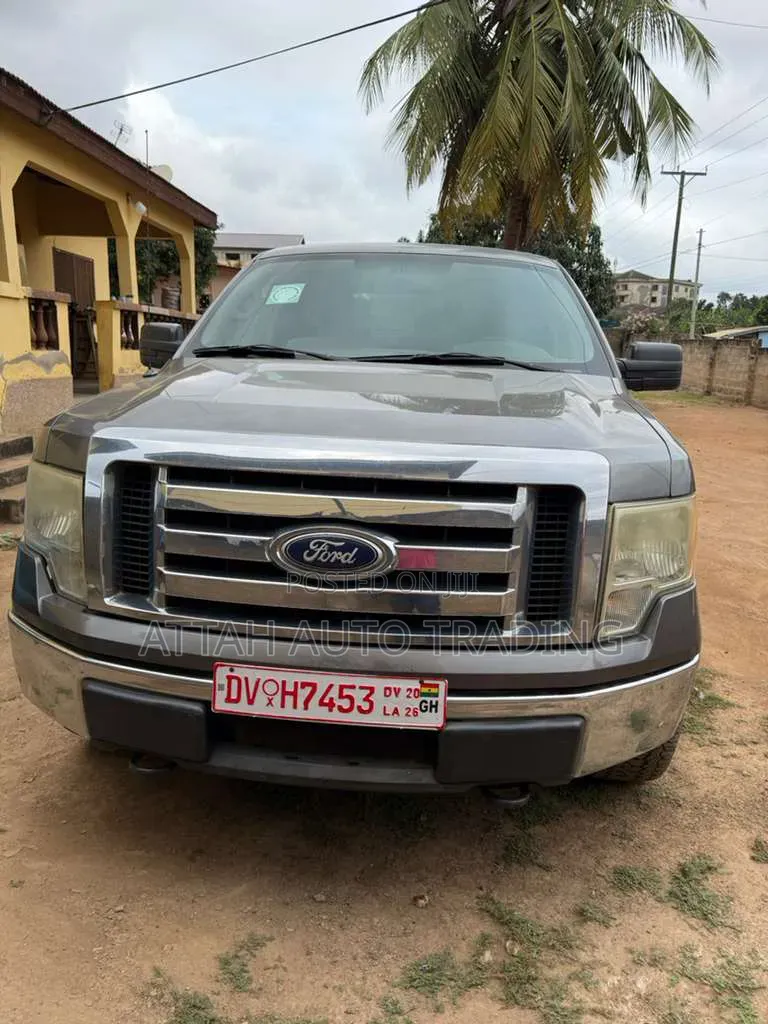 Ford F-150 2012 Gray