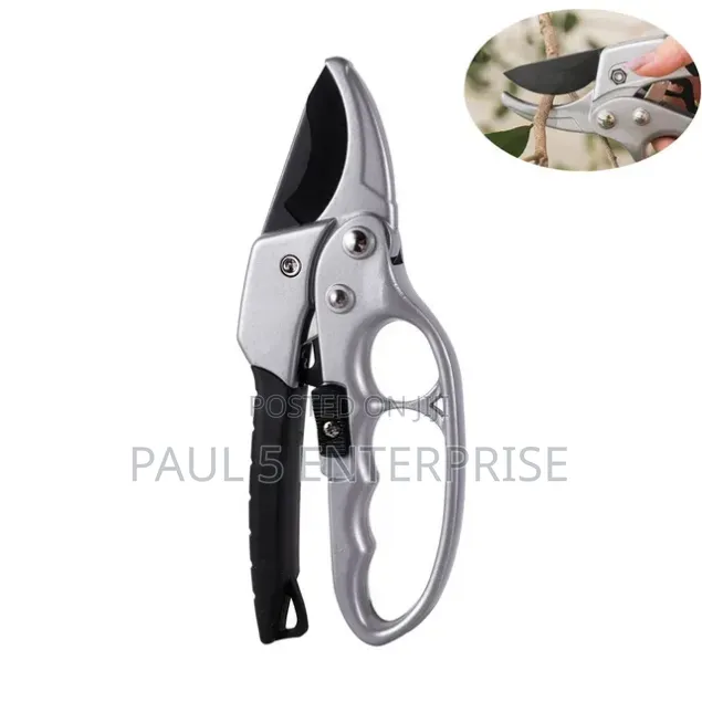 Pruning Shears
