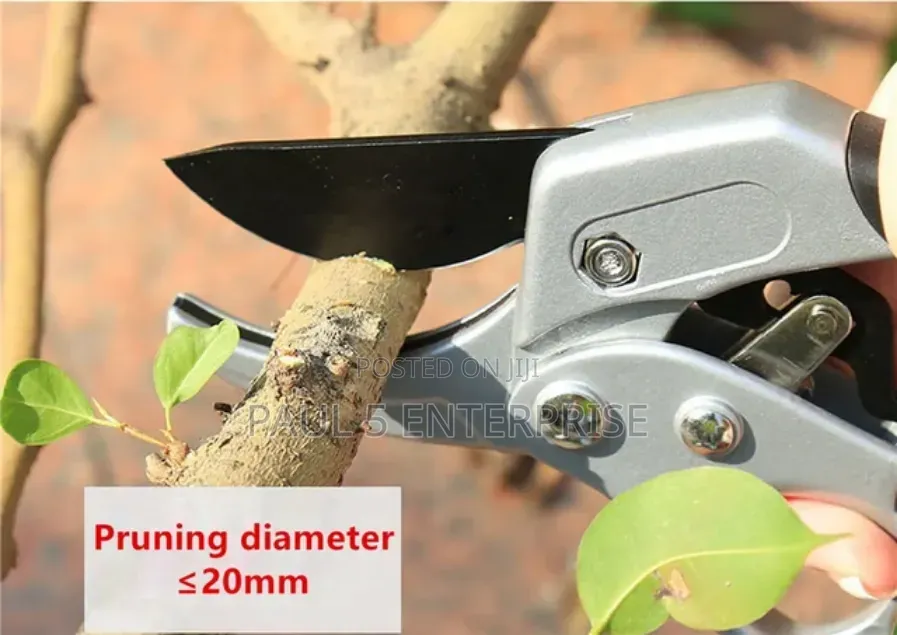 Pruning Shears