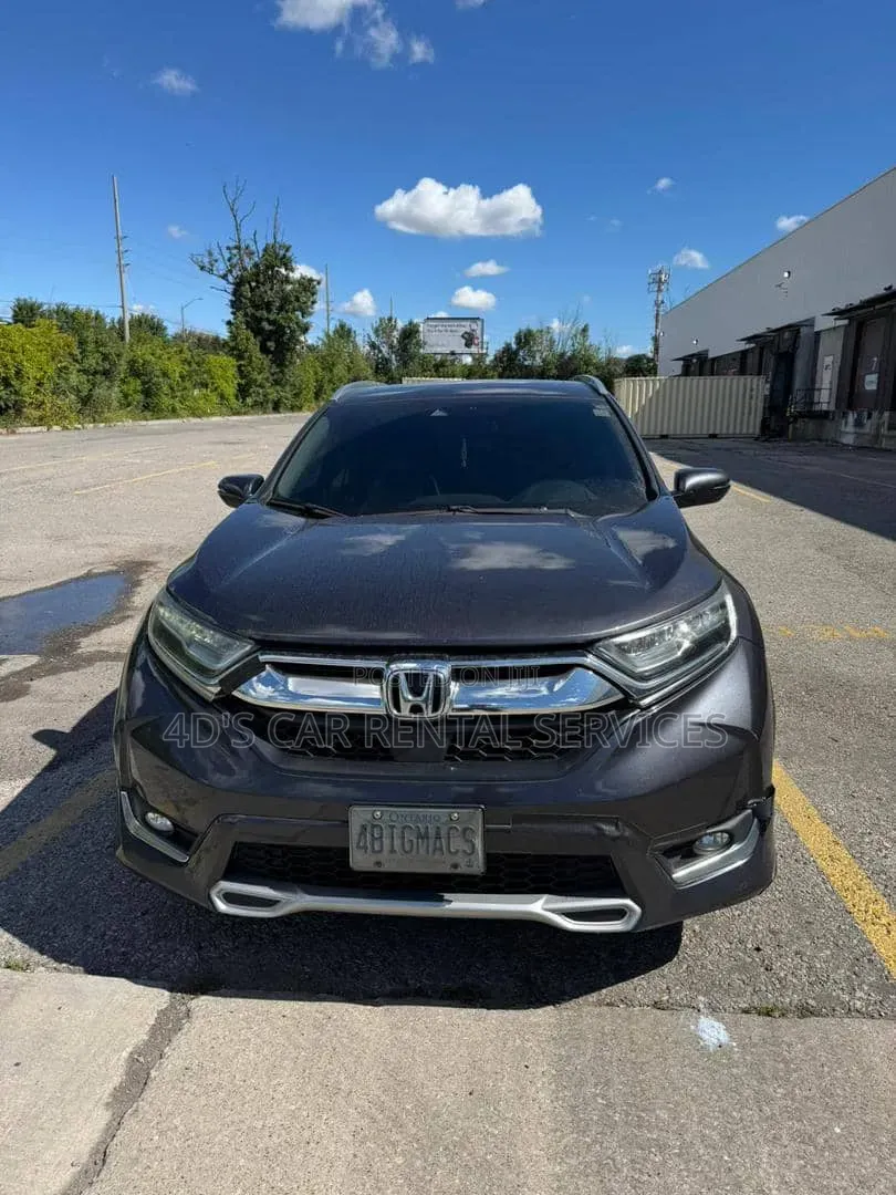Car Rental