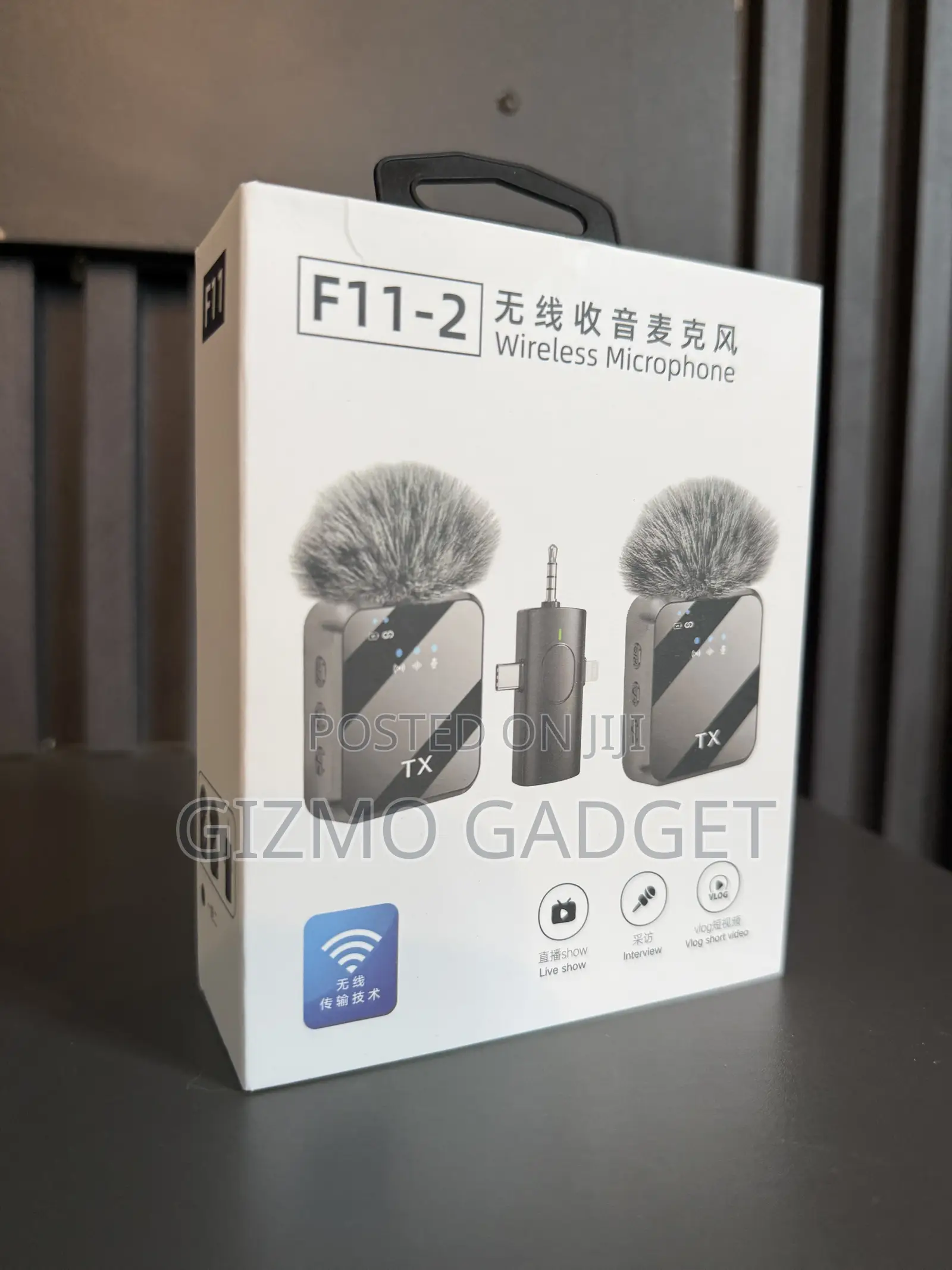 Wireless Mic