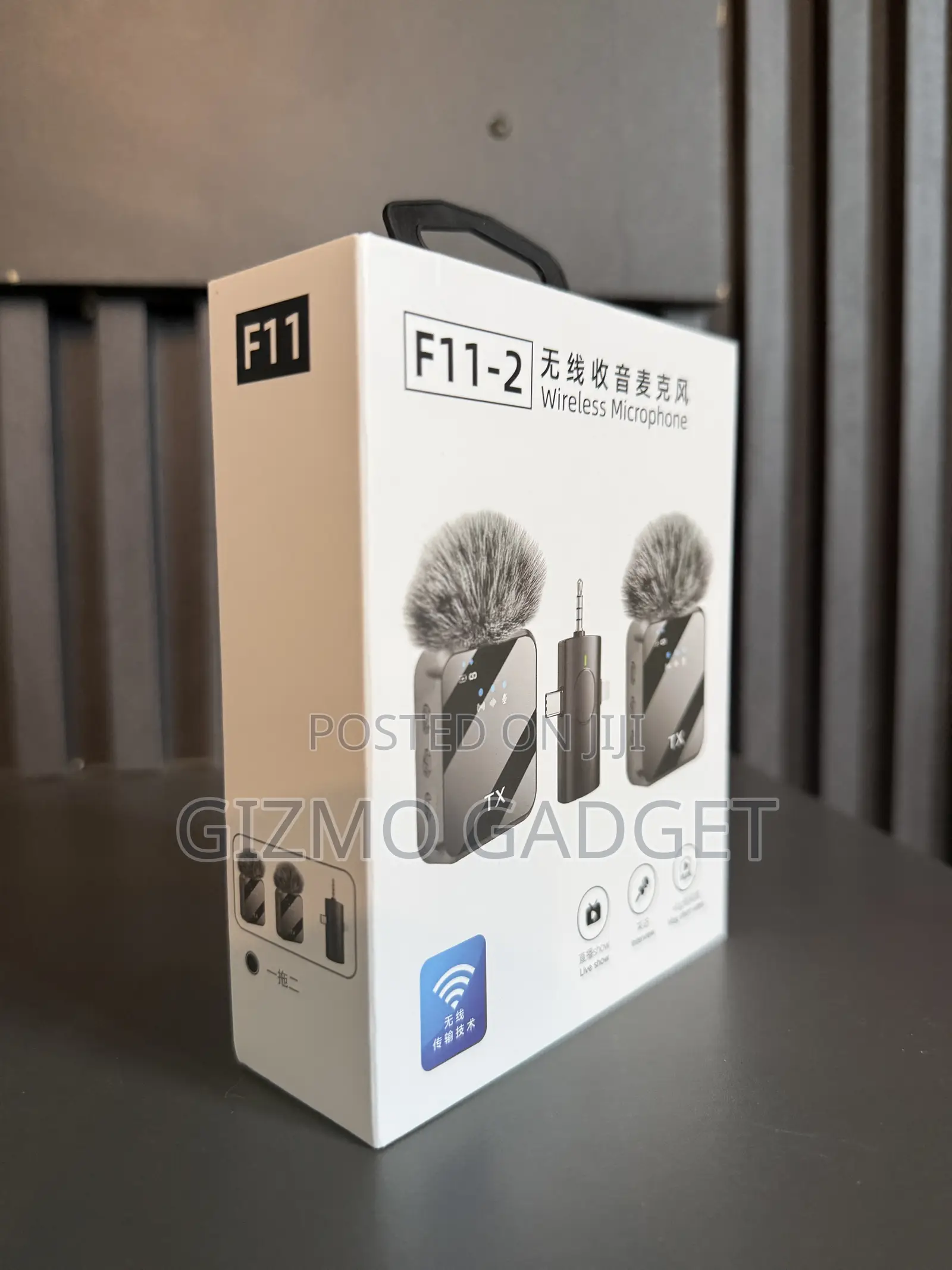 Wireless Mic