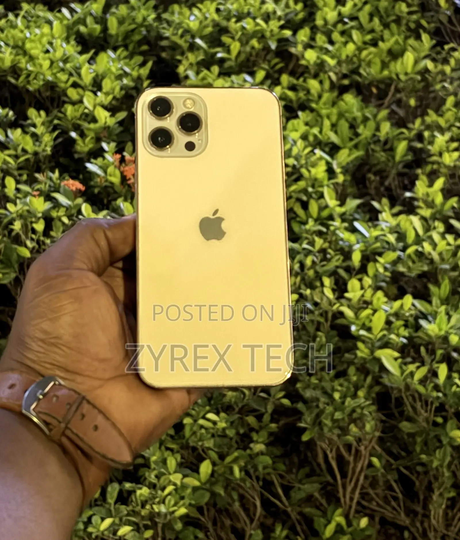Apple iPhone 12 Pro Max 256 GB Gold