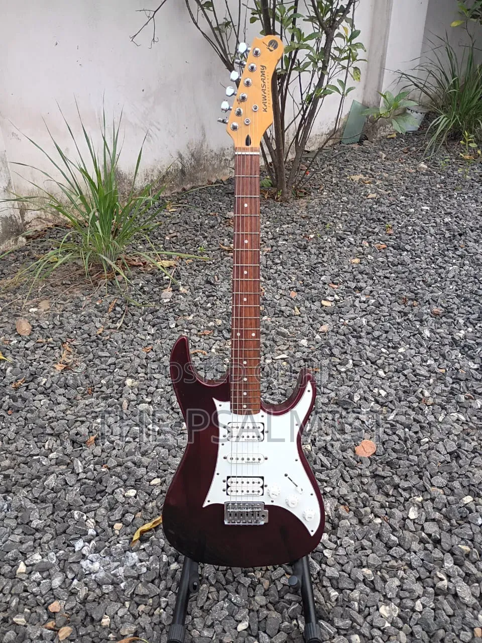 Kawasamy SME4 Professional Guitar