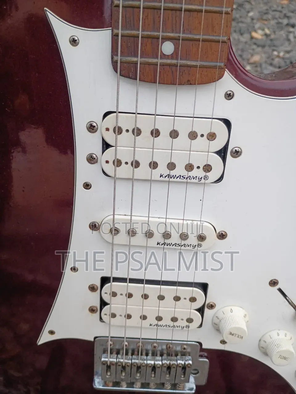 Kawasamy SME4 Professional Guitar
