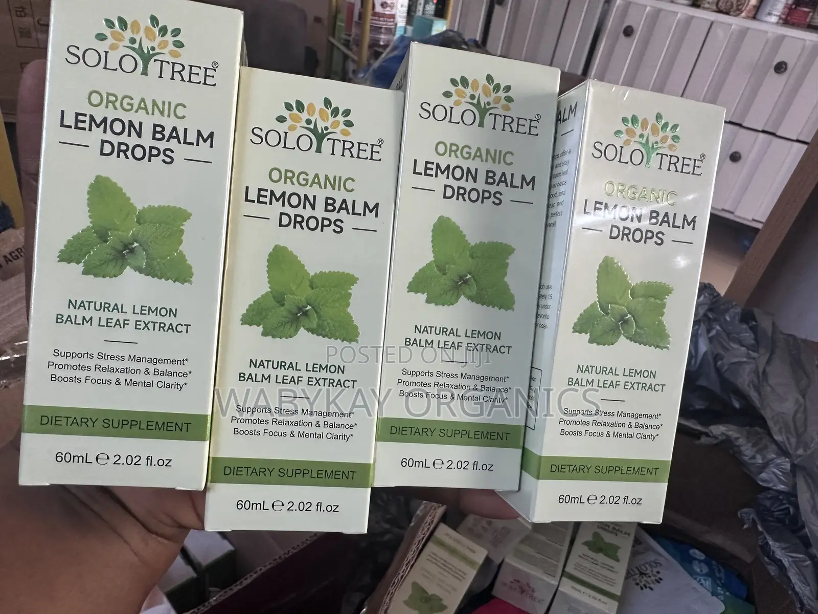 Lemon Balm Liquid Drops