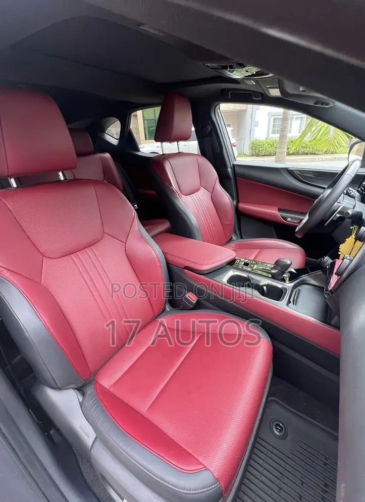 Lexus NX 350 AWD 2024 Gray