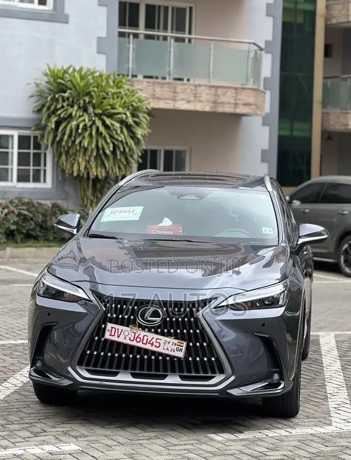 Lexus NX 350 AWD 2024 Gray