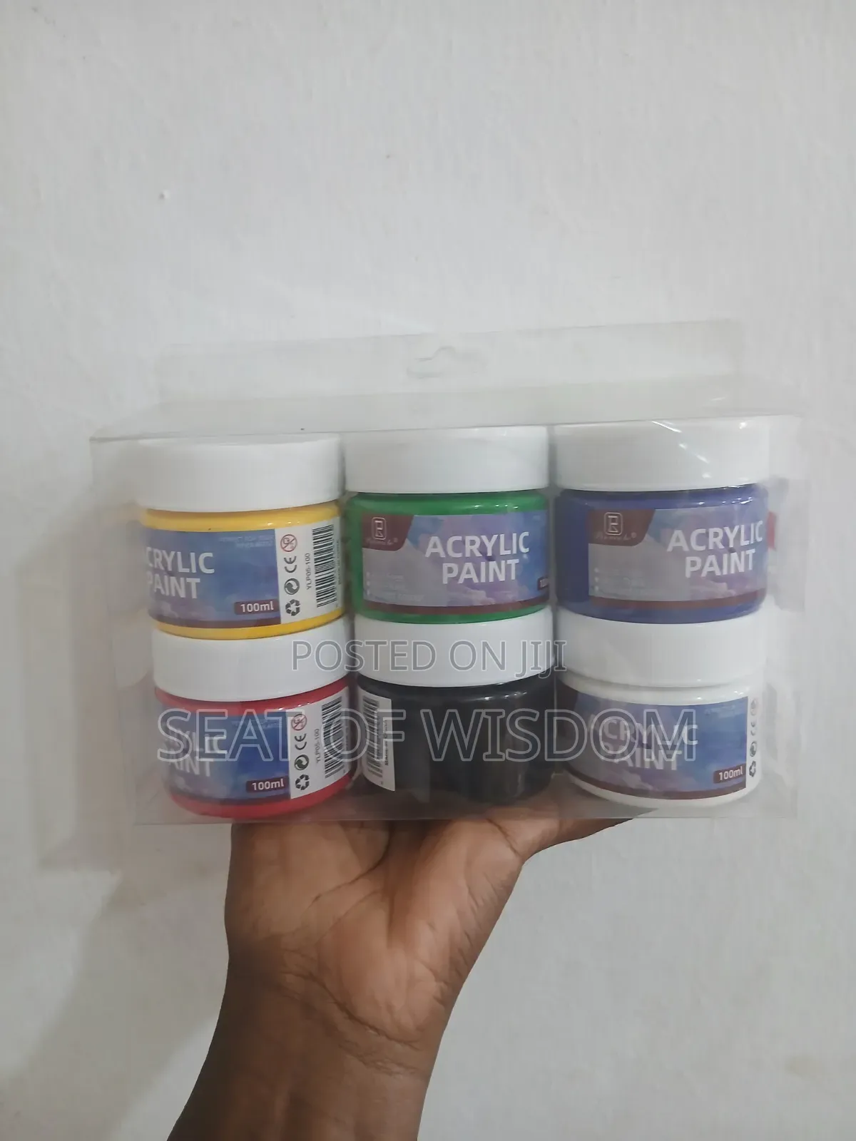 100ml Acrylic Paint Set