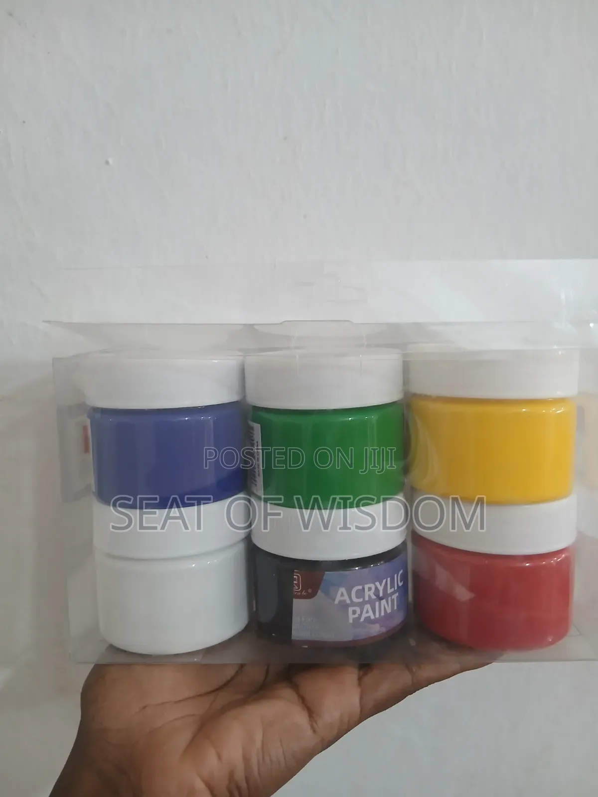 100ml Acrylic Paint Set