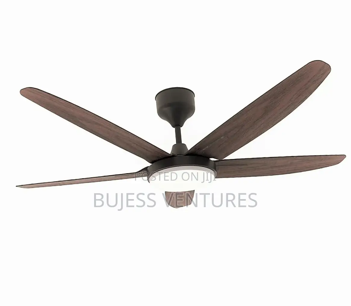 Five Blade Fan With Light