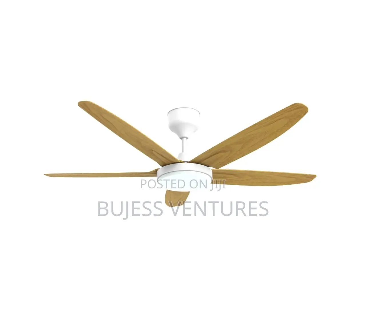 Five Blade Fan With Light