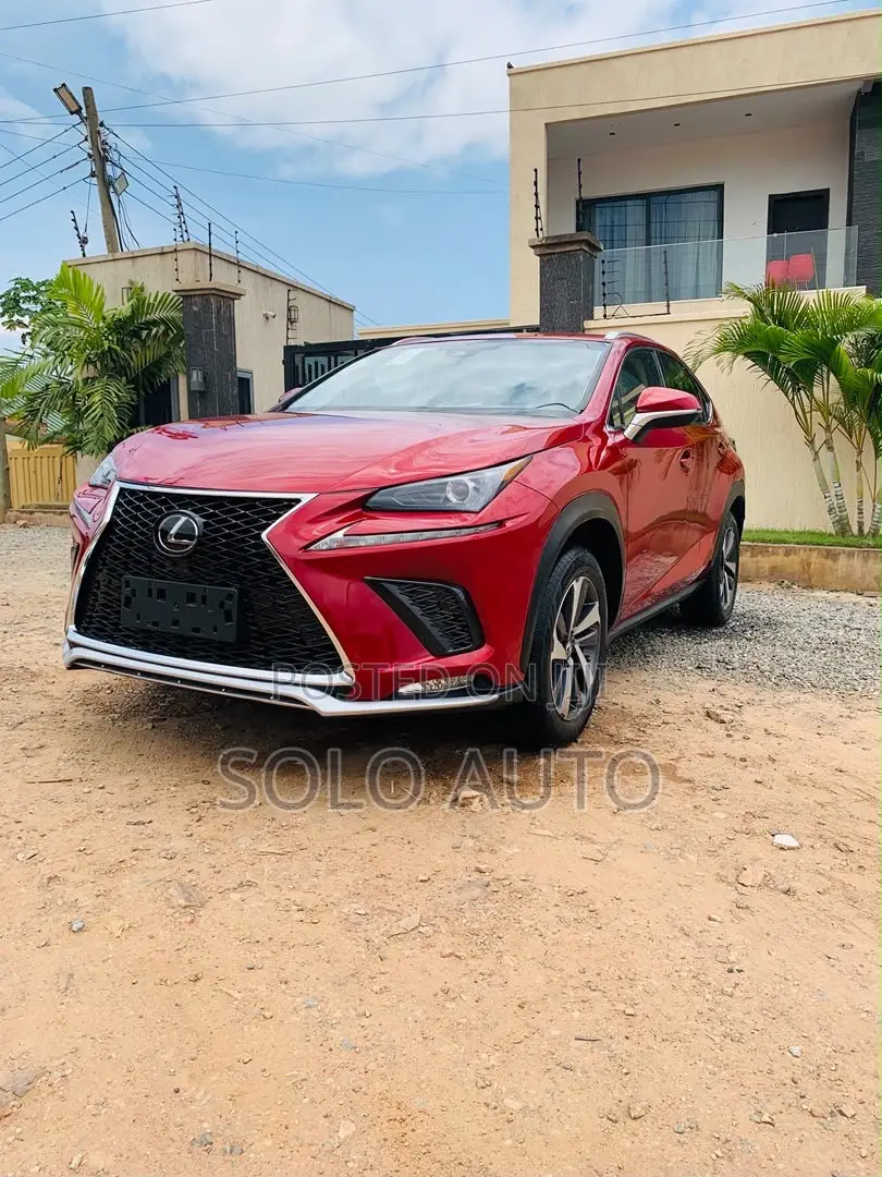 Lexus NX 300 FWD 2019 Red