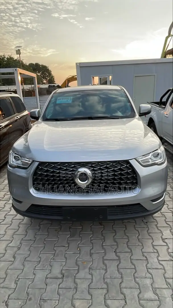 Great Wall Pao 2.0 Diesel AWD 2020 Gray
