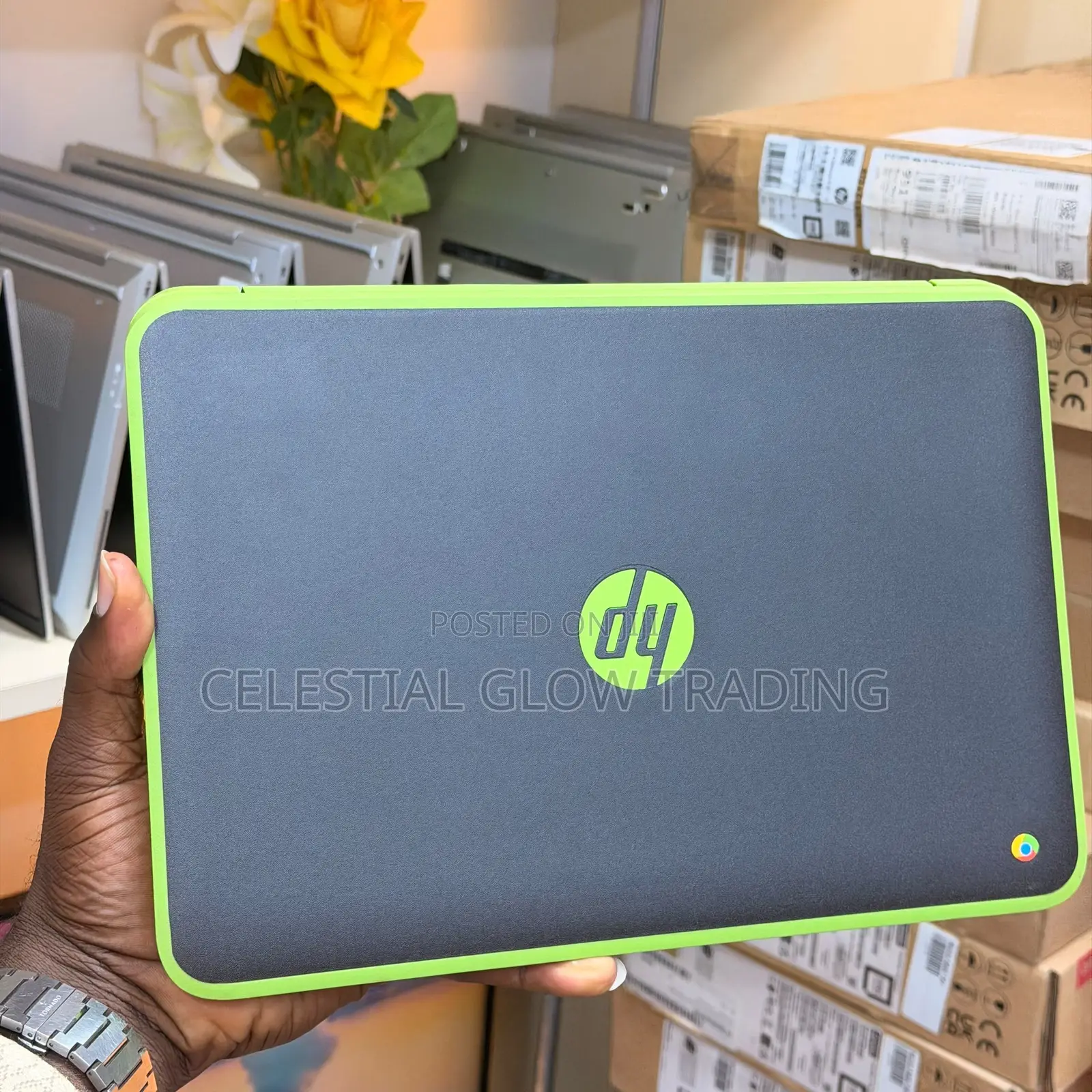 Laptop HP Chromebook 11 G5 EE 2GB Intel SSD 256GB