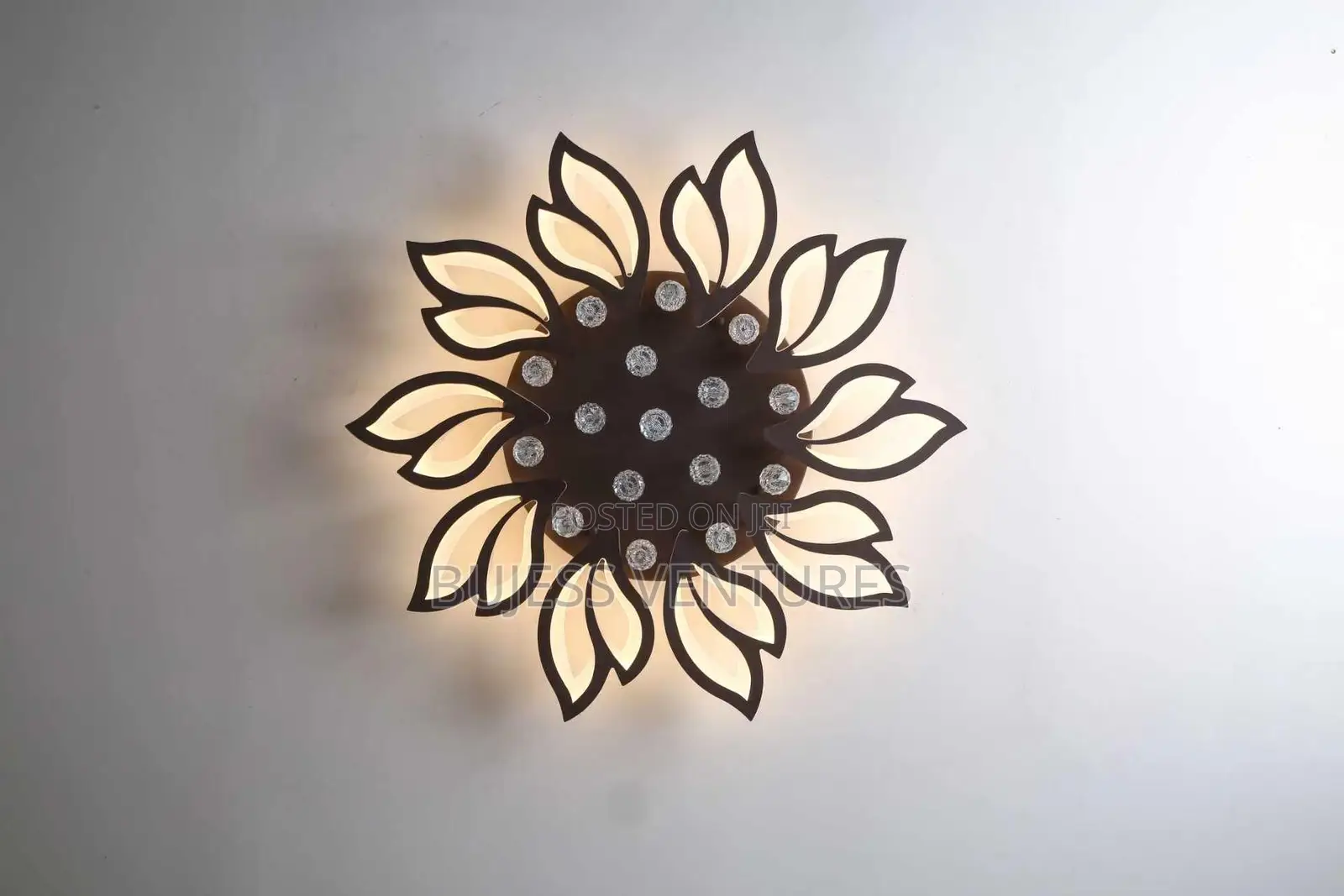 Ceiling Light