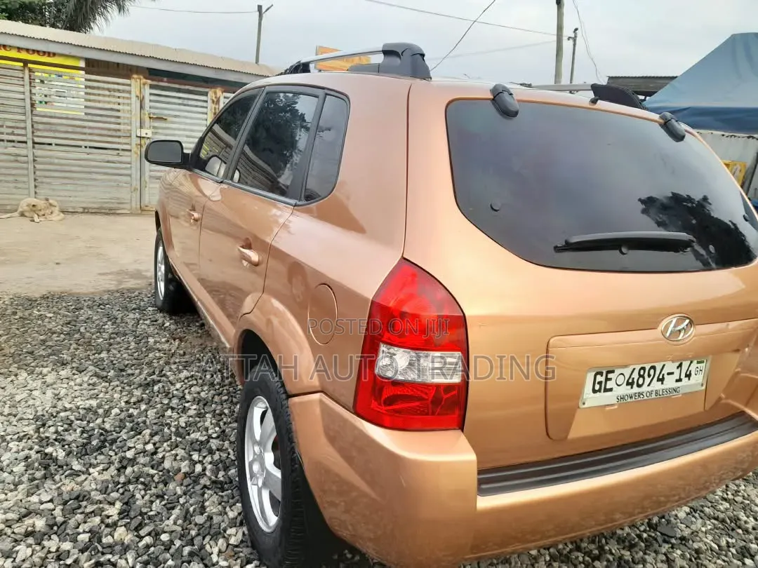 Hyundai Tucson 2005 Brown