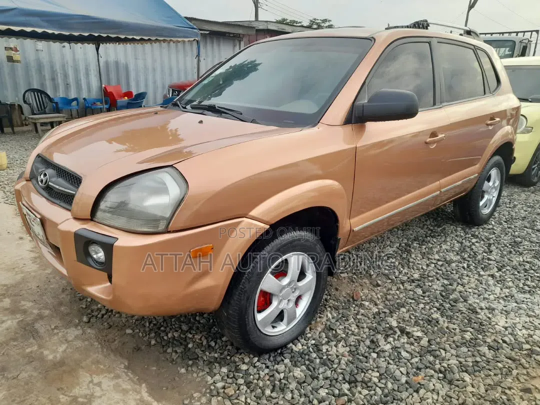Hyundai Tucson 2005 Brown