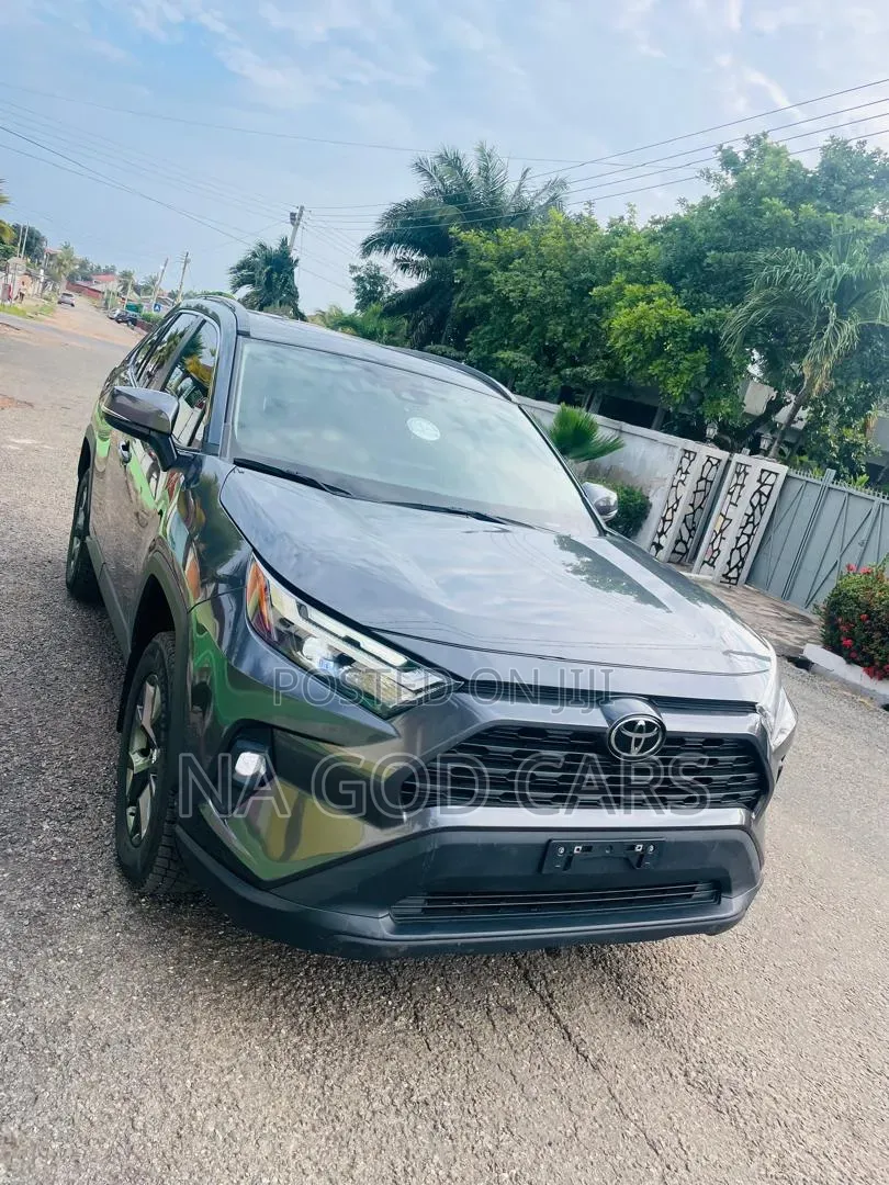 Toyota RAV4 2024 Brown