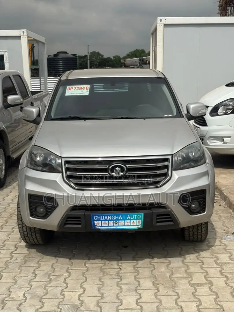 Great Wall Wingle 2019 Gray