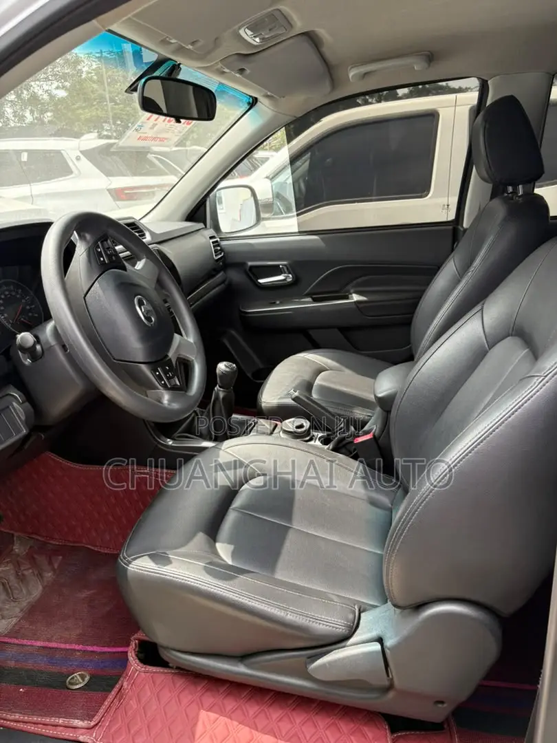 Great Wall Wingle 2019 Gray