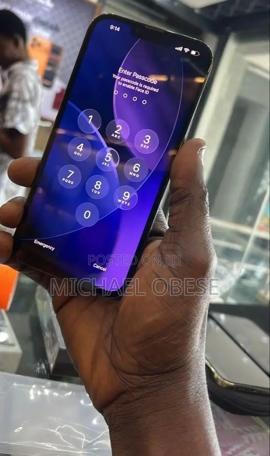 Apple iPhone 13 Pro Max 256 GB