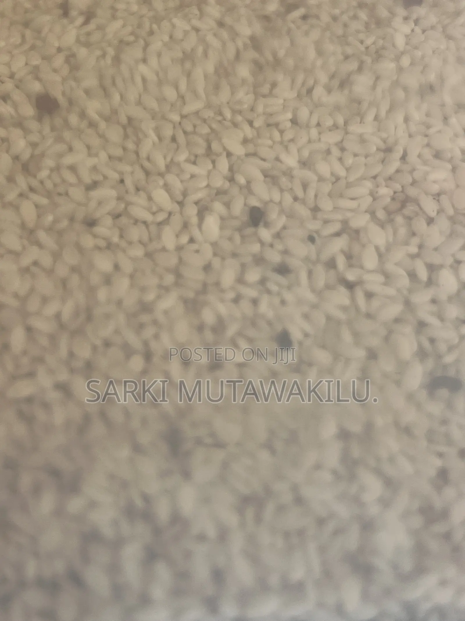Sesame Seeds