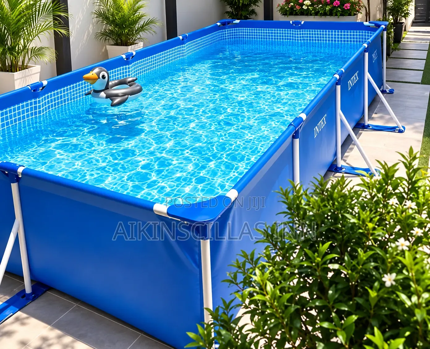 Intex 10ft Pool