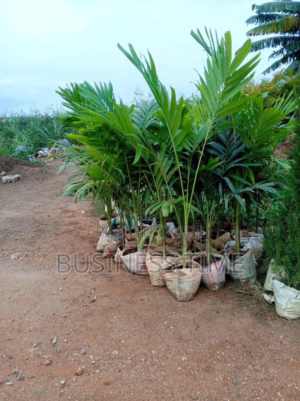Gardening Services