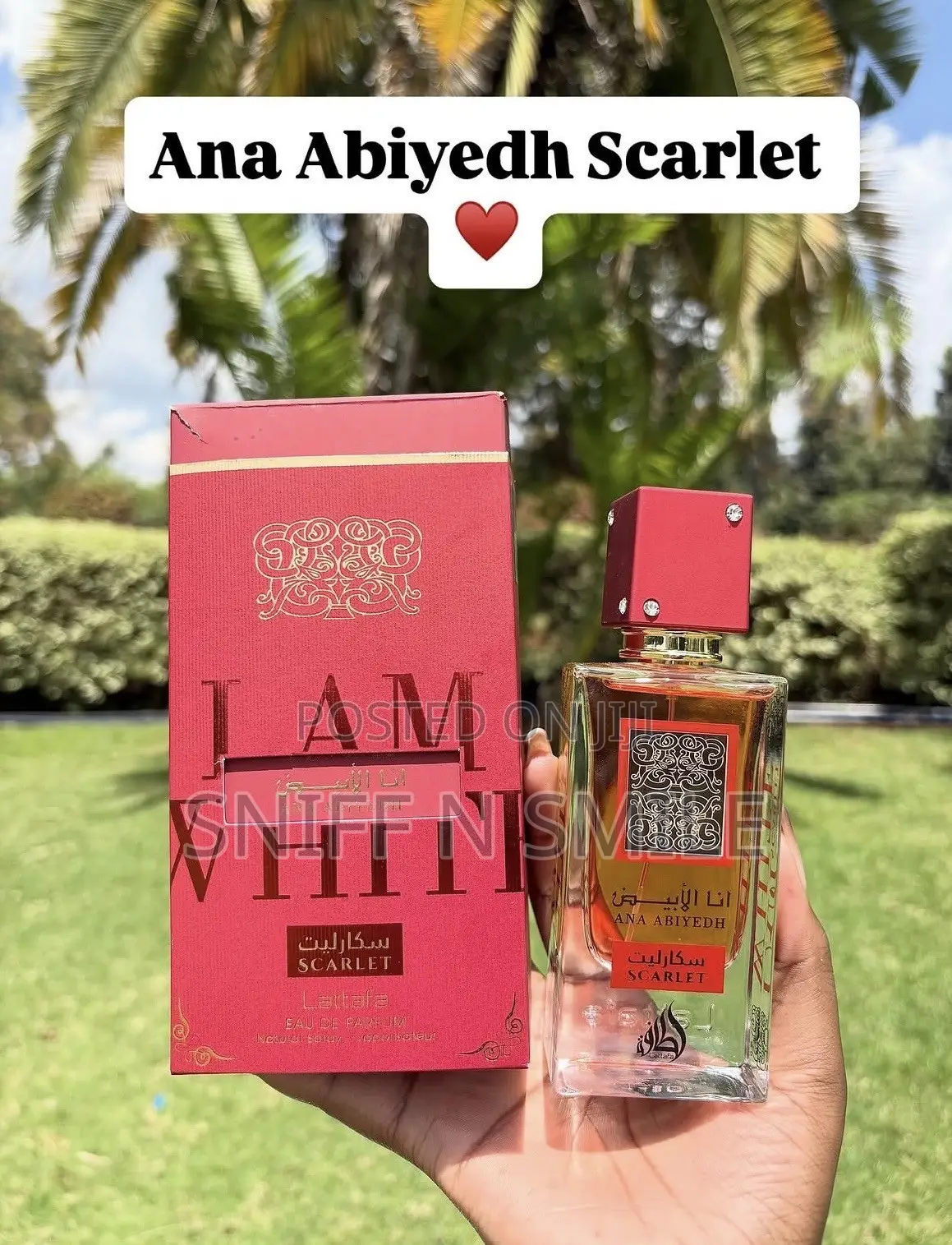Ana Abiyedh Scarlet