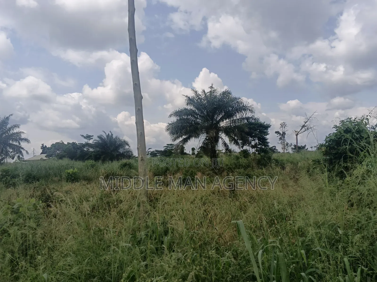 6 Plots of Land Main Road Opposite Inland Pot Ejiso Boankra for Sale