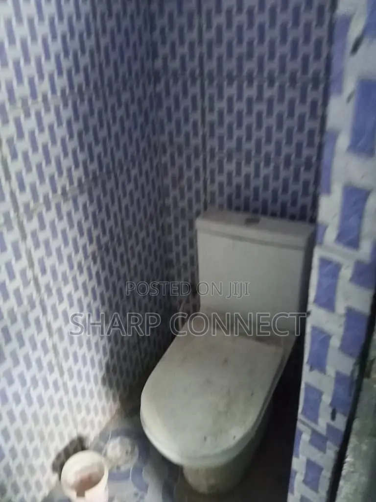 1bdrm Apartment in Sharp-Connect., Adade for rent