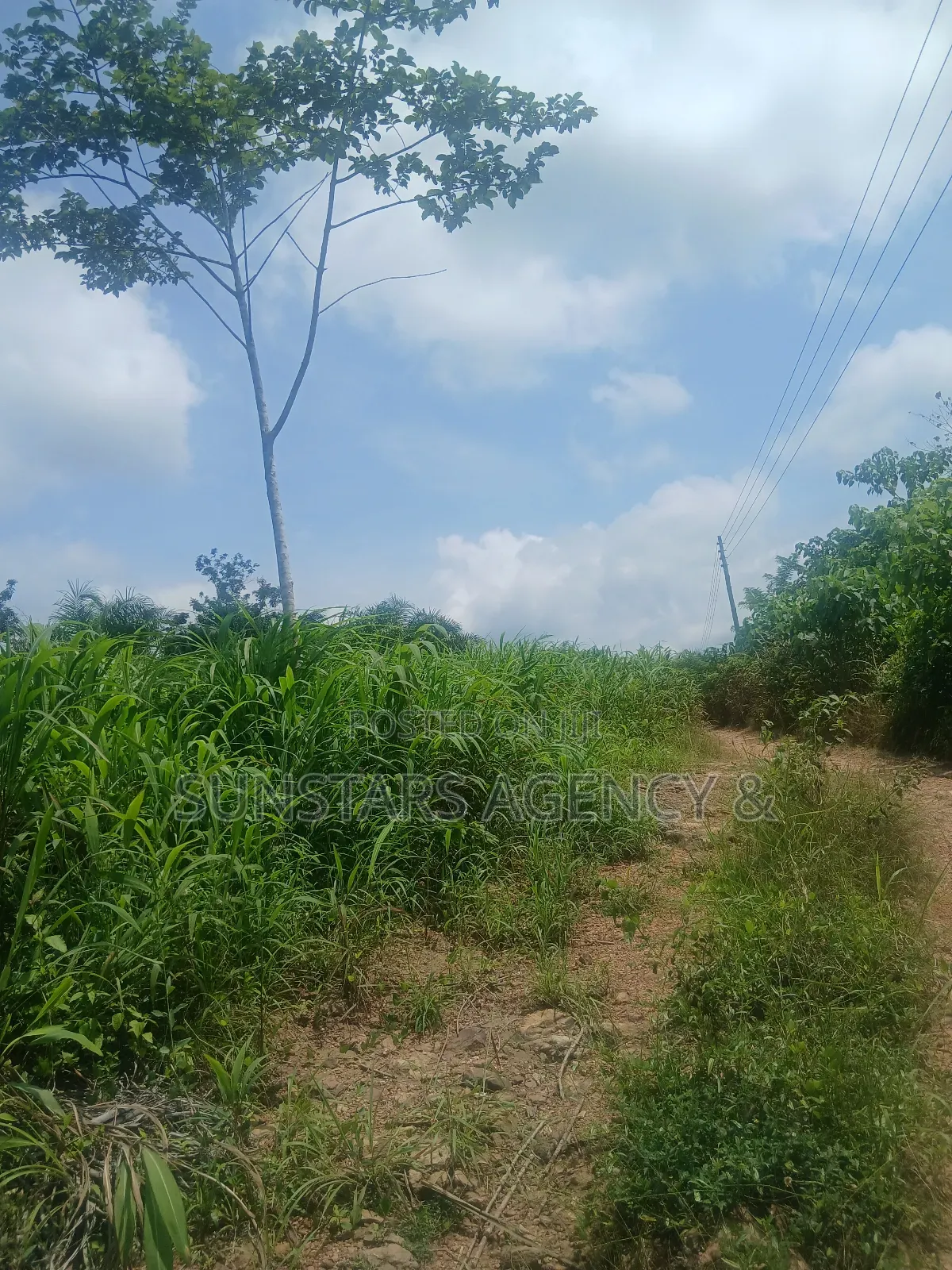 Land at Tonklo, Hohoe for Sale