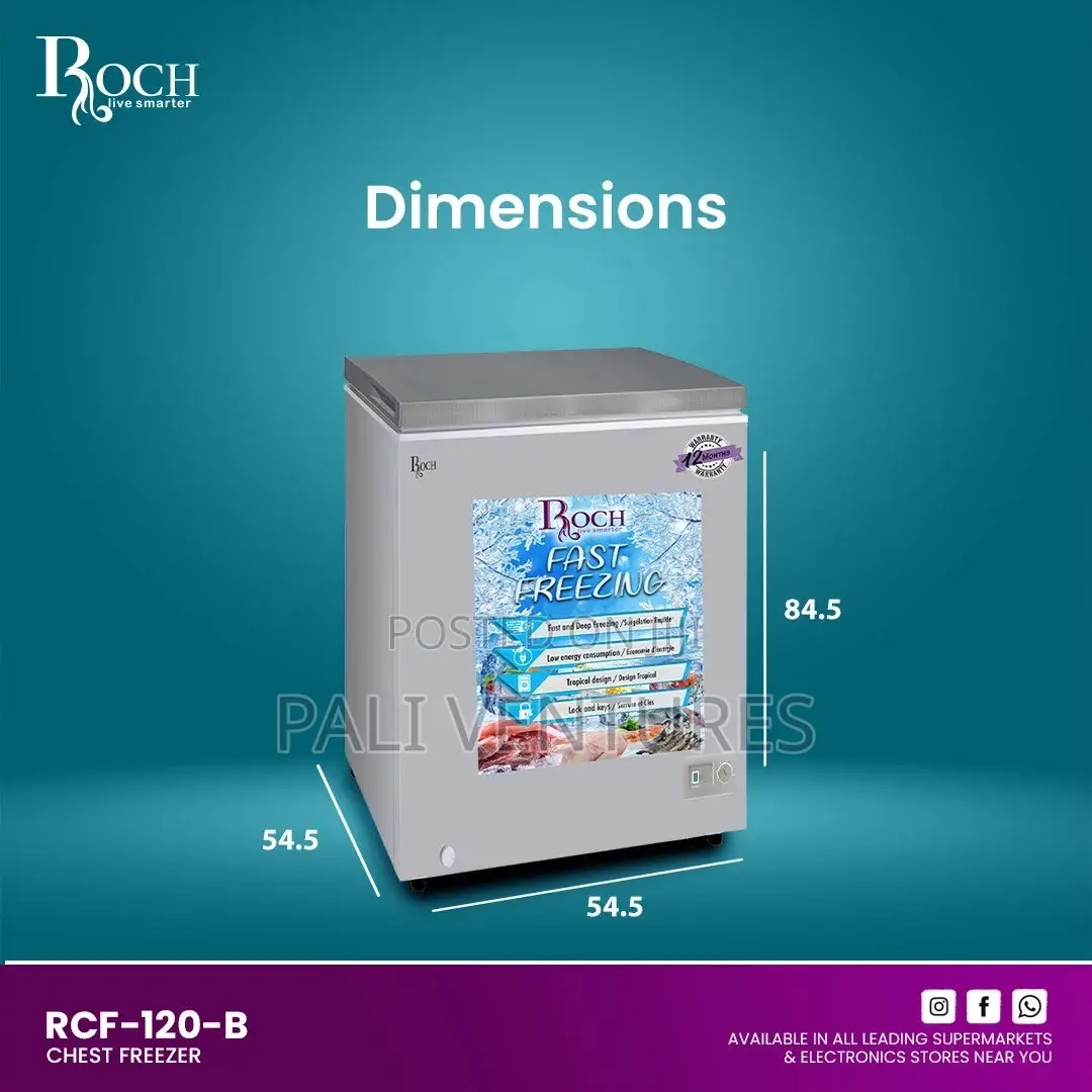 Roch Chest Freeze 100L