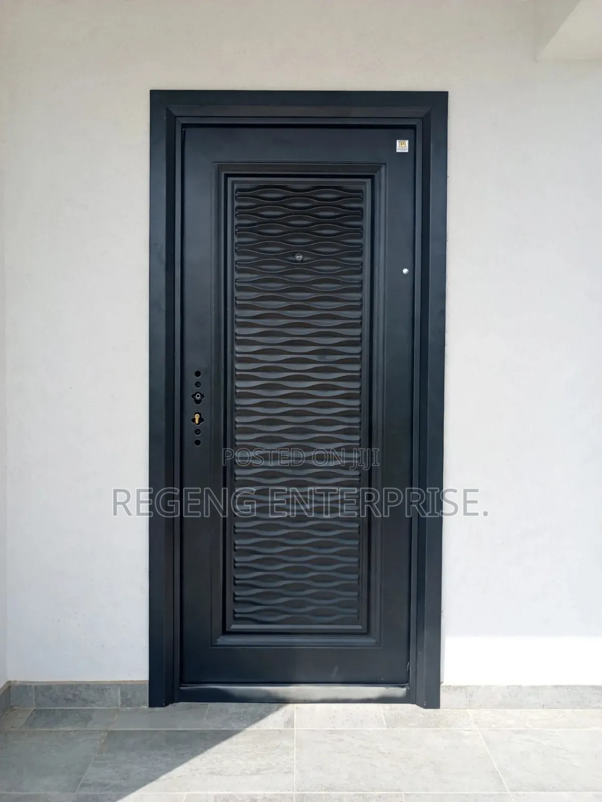 Single Stainless Security Door
