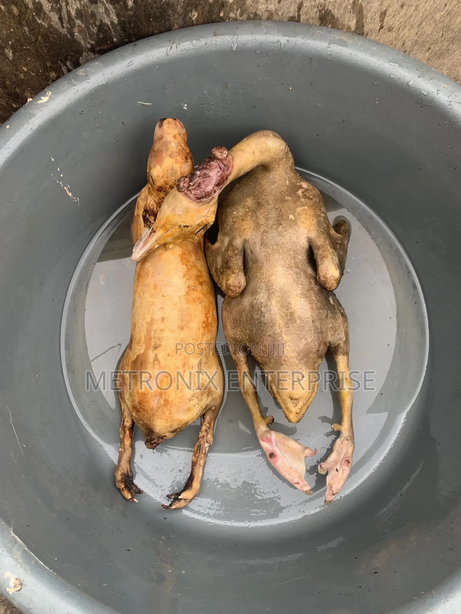 Duck Meat,2kg