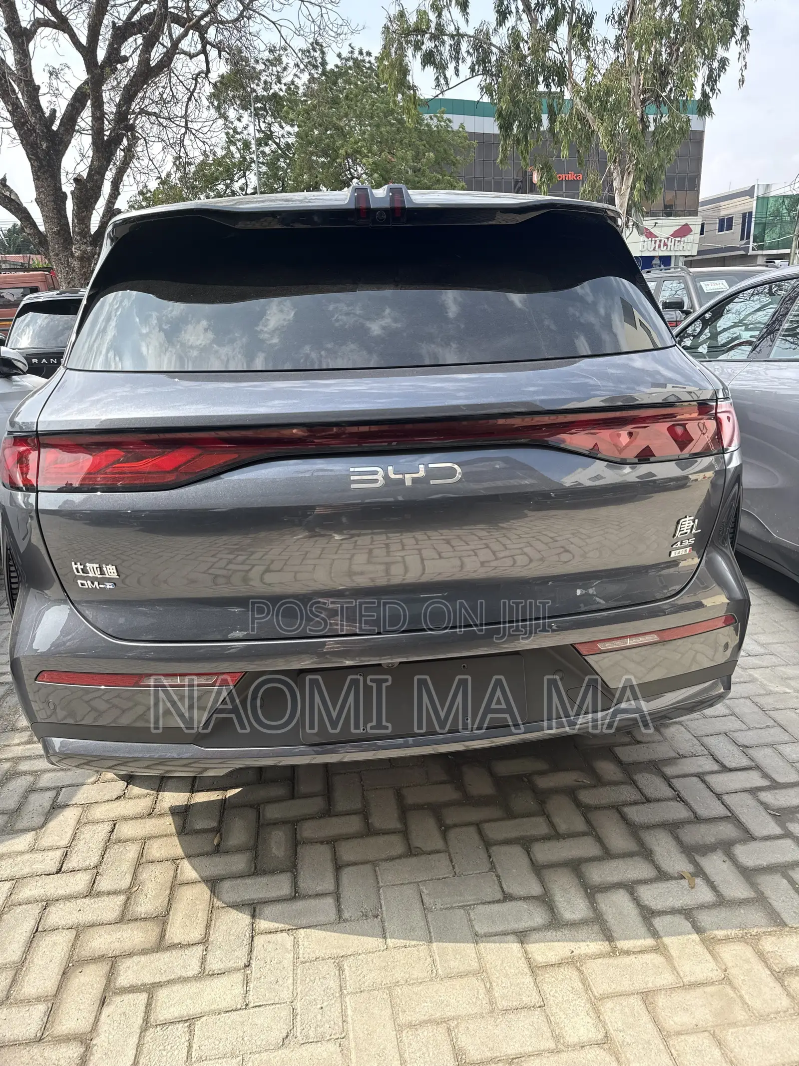 New BYD Tang DM-i 2025 Gray