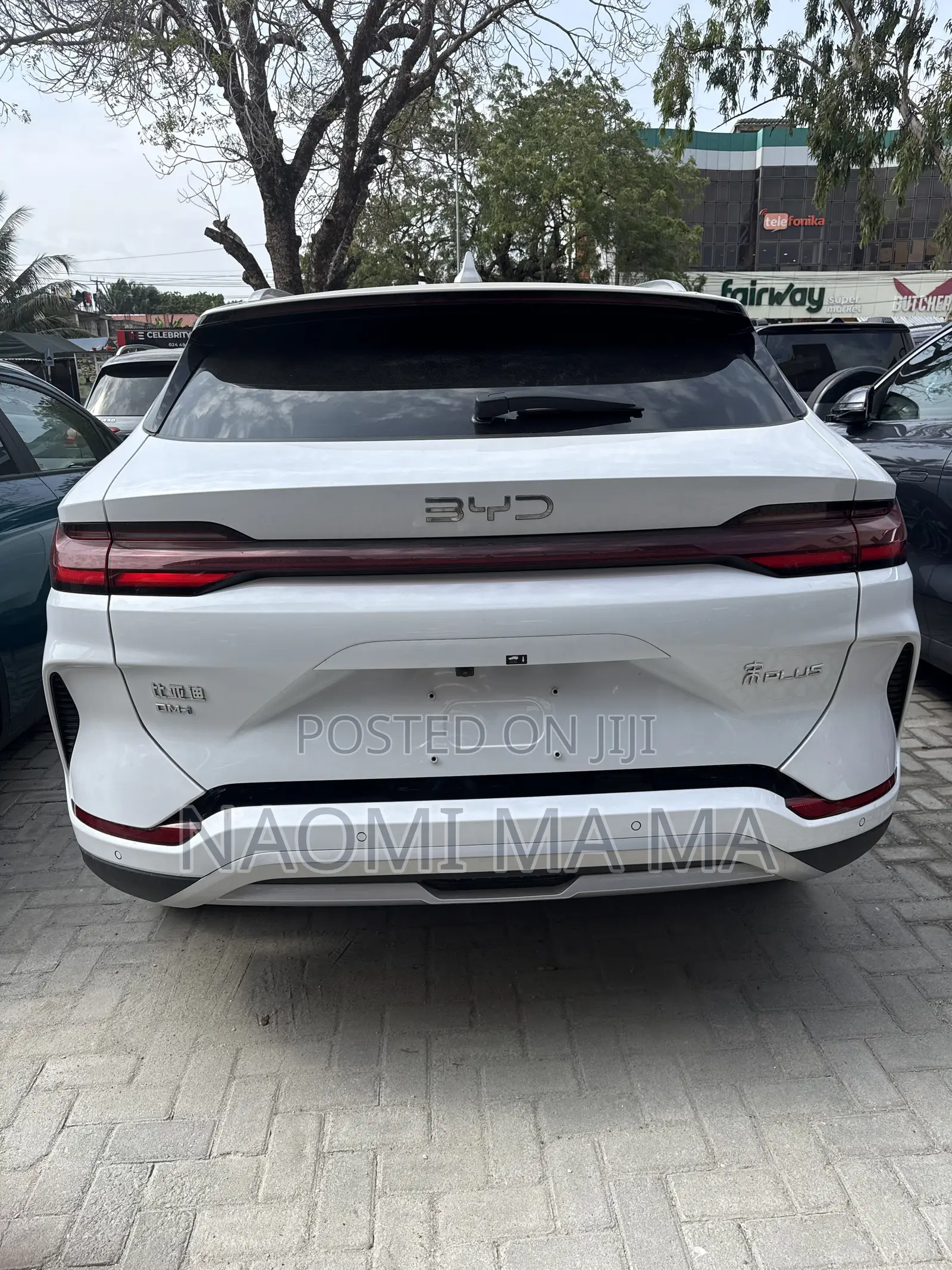 New BYD Song Plus 2025 White