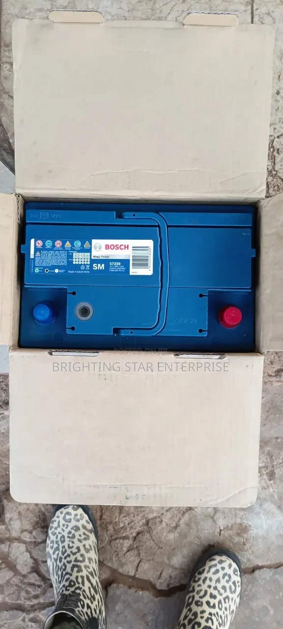 Bosch Battery