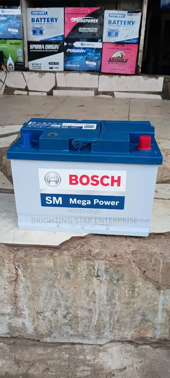 Bosch Battery