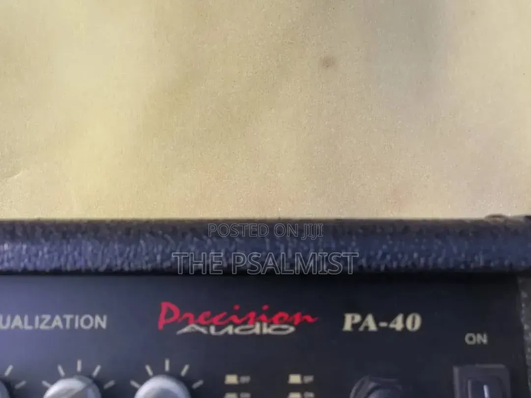 Precision Audio PA 40 Bass