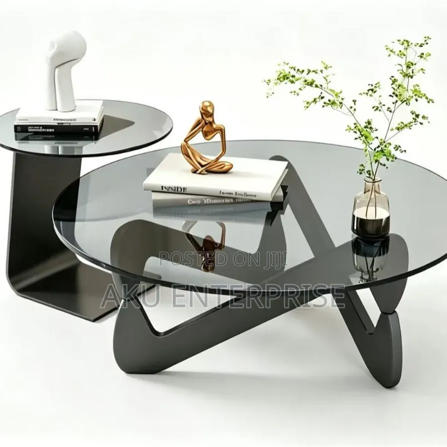 2 in 1 Modern Shaped Coffee Table Center Table Set