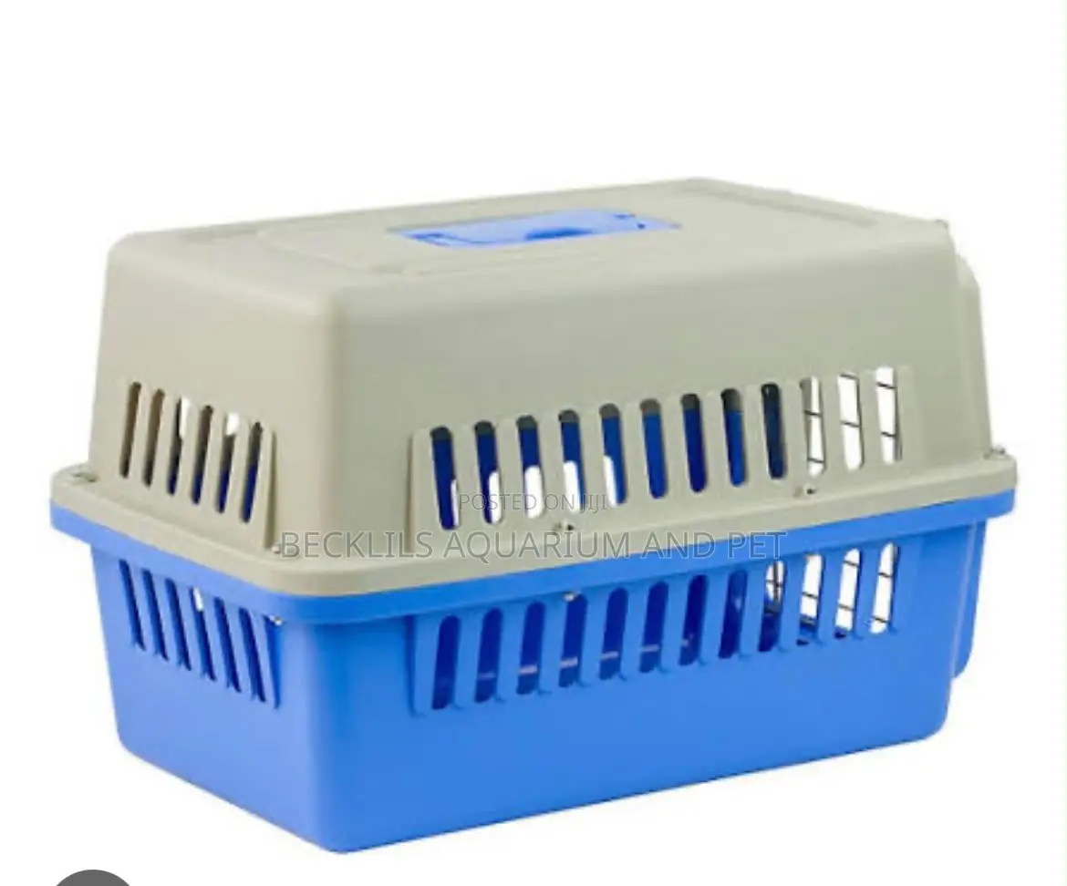 Noen RAbit Cage