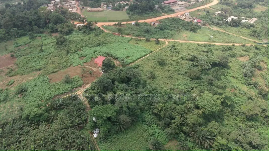43 Plots of Well-Demarcated, Titled Land at Ayim, Aburi