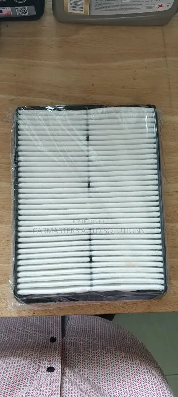 Hyundai Kia Air Filter 28113-2w100 Santa Fe Sorento