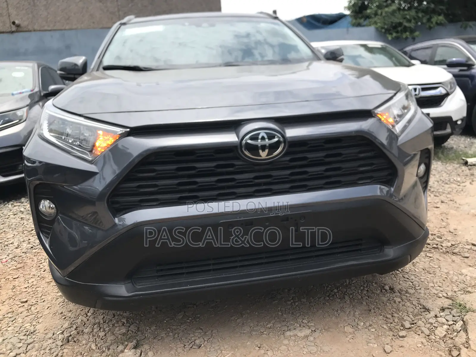 Toyota RAV4 XLE Premium 2022 Gray