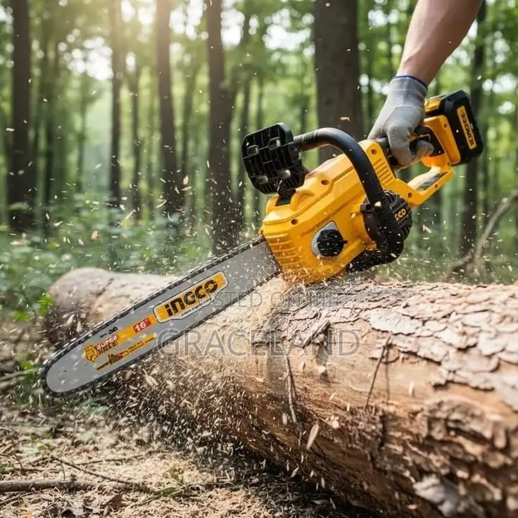 This Is Original INGCO Cordless Chainsaw Brushless 40V