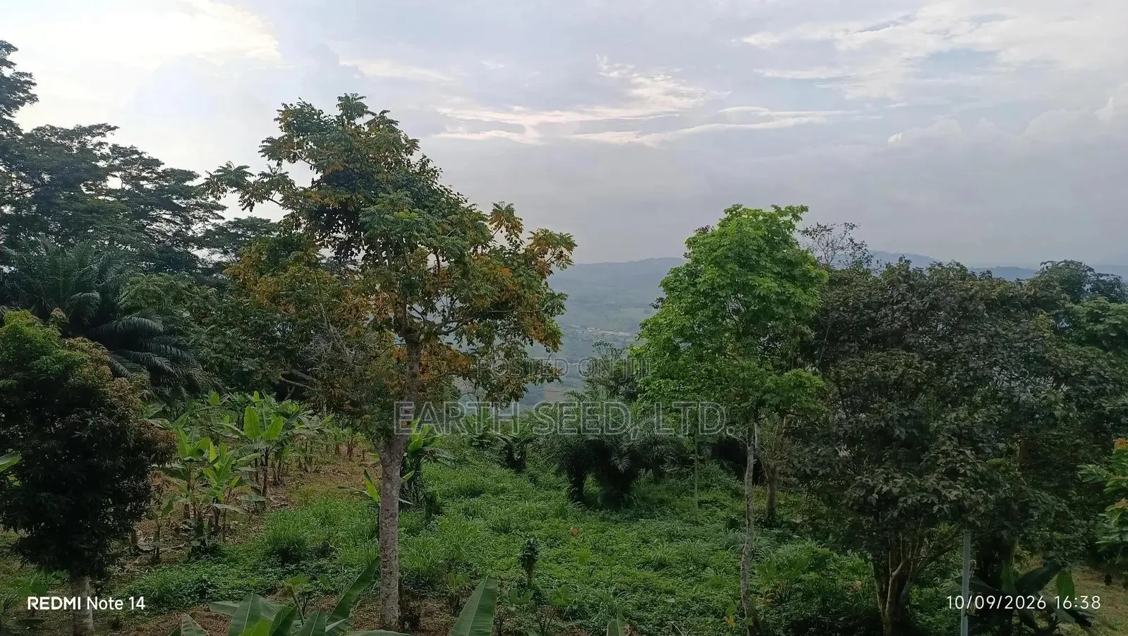 Registered Land in Aburi