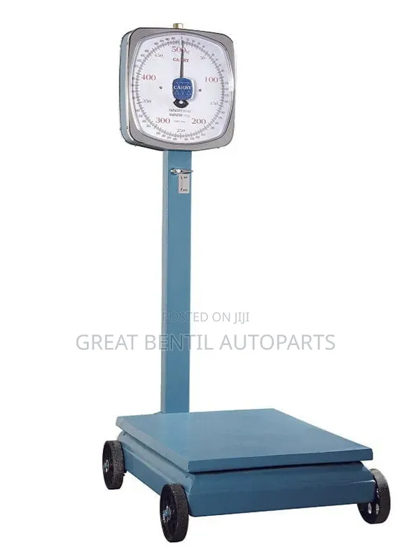 300 Kg Camry Analogue Scale